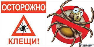 О Всероссийской горячей линии по профилактике клещевого энцефалита и инфекций, передающихся клещами.