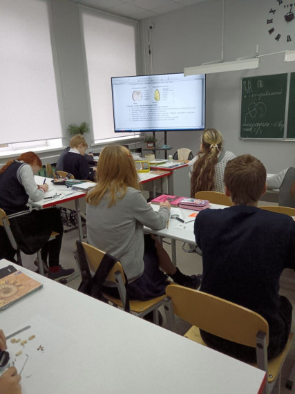 Занятие кружка "Эколята" на базе центра '"Точка роста".