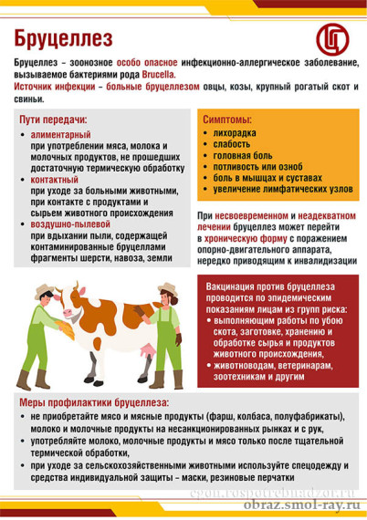Бруцеллез — это опасно!.